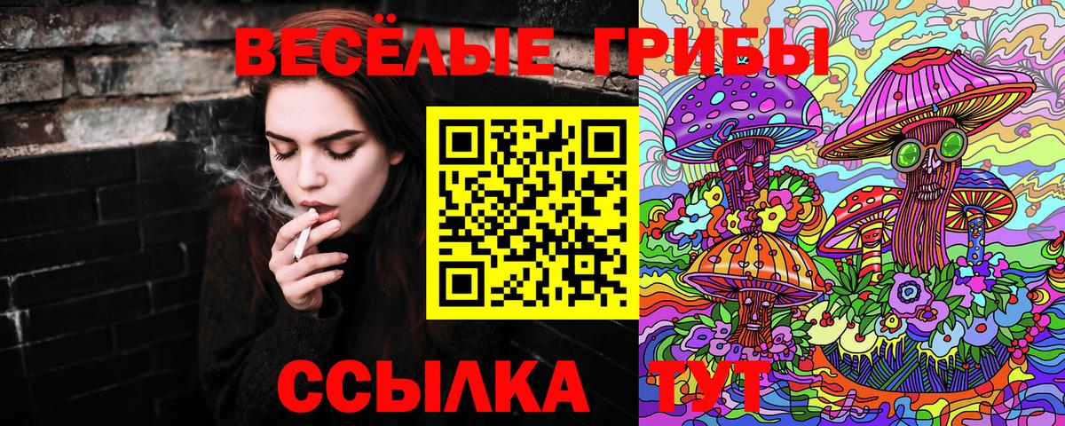 Луховицы  даркнет сайт  Вход с VPN  Галлюциногенные грибы GOLDEN TEACHER 